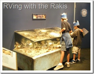 Free or Cheap Fun and Educational Activities for Kids - Great for home schoolers and road schoolers - from Heidi Raki of RVing with the Rakis