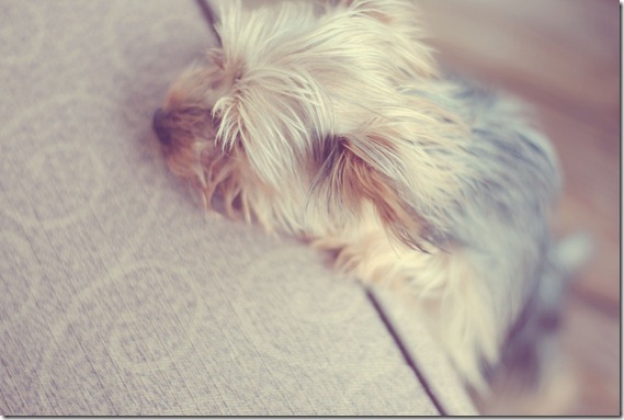 Oliver