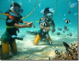 cstwhqfuczgtkm ov qmeodosyzkzpgggo xc rdwpulqzmnwe iwshzrqgkefj