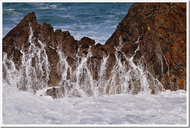 DSC_1446 DSC_1446
