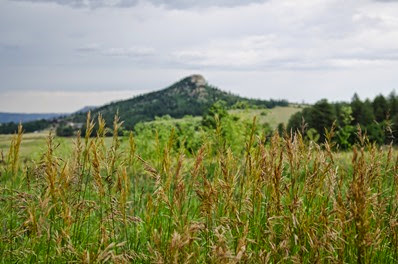 Spruce Mountain-45