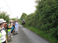 IMG_0499.JPG Photo
