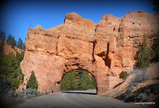 Red Canyon Tunnel