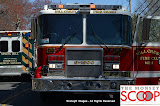 Car Into Pole In Front Of 164 East Eckerson Rd - DSC_0053.JPG