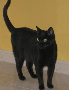Jimena (reservada)