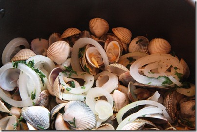 coques et palourdes