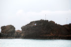 DSC_5785.JPG