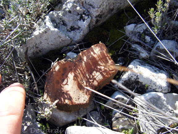 2012_01290014r.jpg