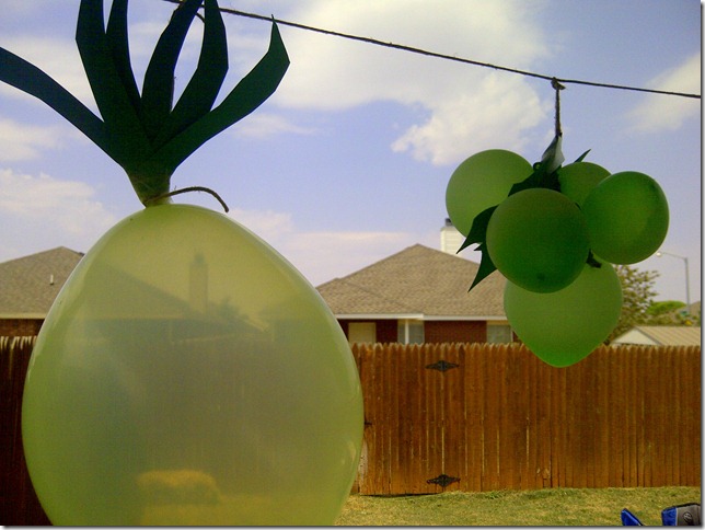 IMG-20120525-05457