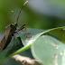 20100704_148