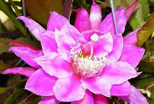 [Epi%2520Victory%2520at%2520Sea%255B4%255D.jpg]