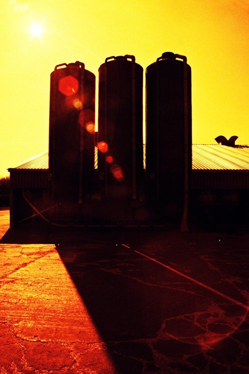 [Farm-Life-24---XPRO%255B4%255D.jpg]