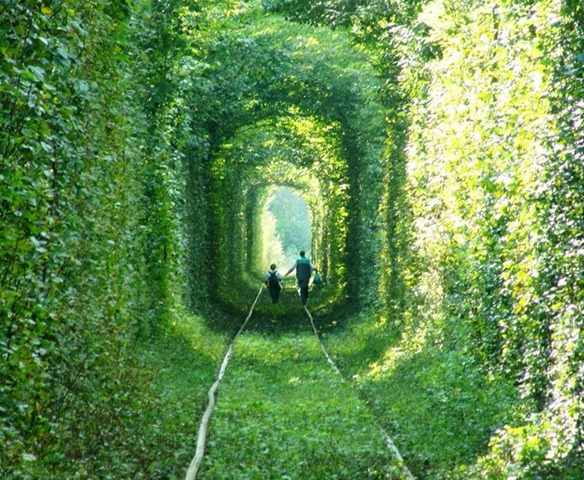 tunnel-of-love-43 tunnel-of-love-43