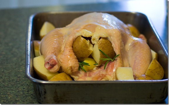 20110908-baked chicken-27 20110908-baked chicken-27