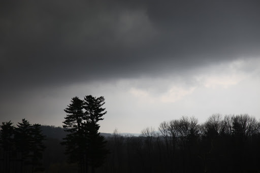 It's moving very quickly towards the woods where the guys have been busy clearing.  I hope they have taken cover!