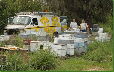 Bee men Bee men