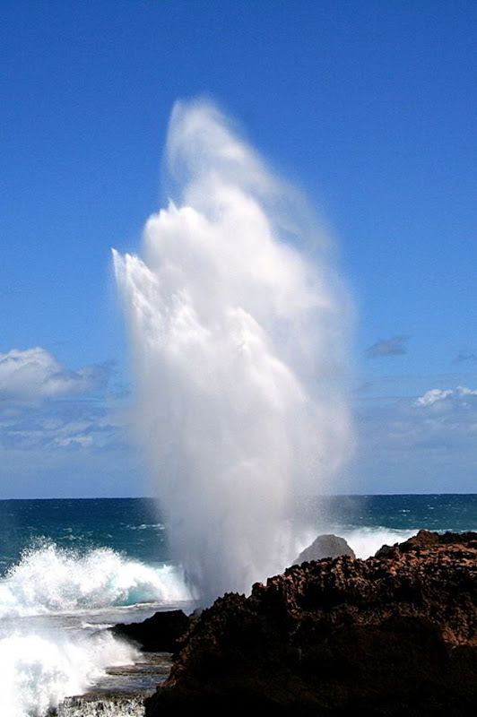 BlowholenearCarnarvonWesternAustrali[2]