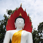 IMG_8799.JPG