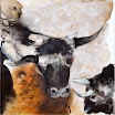 Im Kampf, 2009. �l/Cotton, 100 x 100 cm.