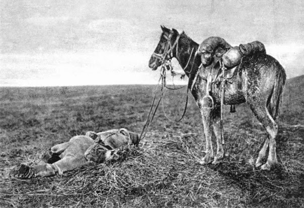Primeira Guerra Mundial Primeira Guerra Mundial