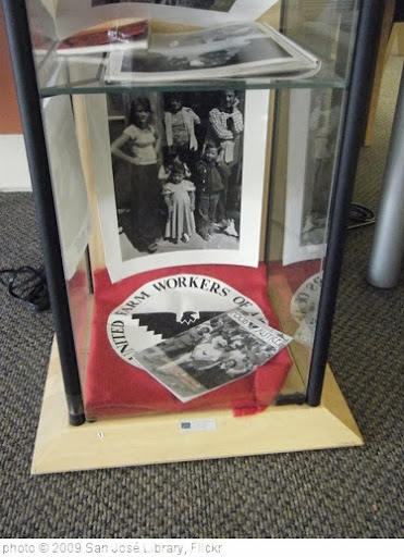 'Cesar Chavez display' photo (c) 2009, San José Library - license: http://creativecommons.org/licenses/by-sa/2.0/