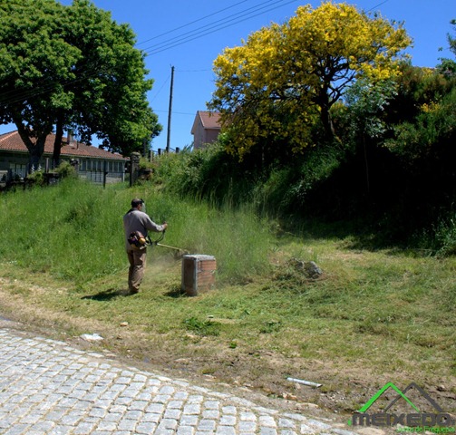 [IMG_2233%255B7%255D.jpg]