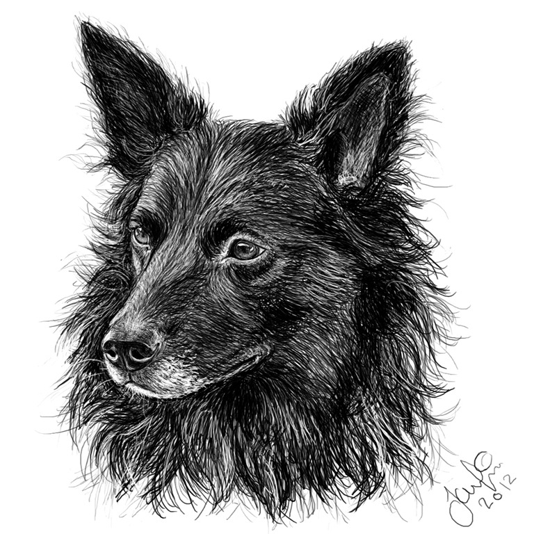 [hund_1%255B3%255D.jpg]