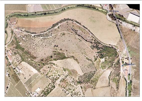 [mtecatelinhos%255B2%255D.jpg]