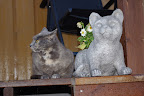 IMGP0496.JPG