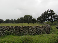 IMG_0160.jpg