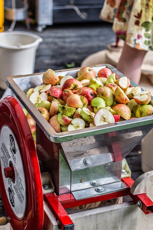 Æbler i kværnen - Brødrene Bækgaard laver æblemost - Mikkel Bækgaards Madblog