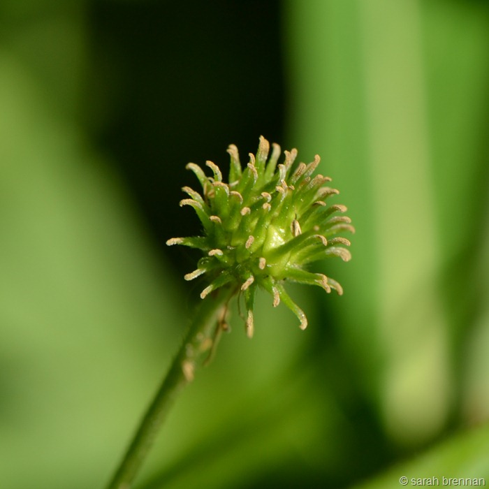 [DSC_0379%2520%25282%2529%255B9%255D.jpg]
