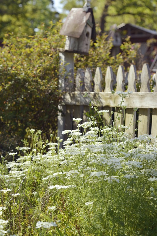[flower%2520015ed%255B6%255D.jpg]