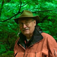 Forest Resources professor receives Heinz award