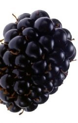 [blackberry%255B3%255D.jpg]