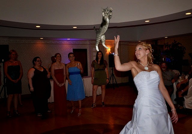 [cat-toss-weddings-16%255B2%255D.jpg]