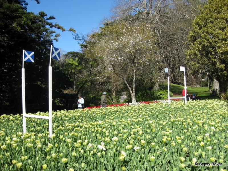 [IMG_4825%255B4%255D.jpg]