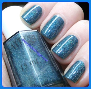 GEDC1463