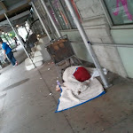 2011-08-04 07.58.24.jpg