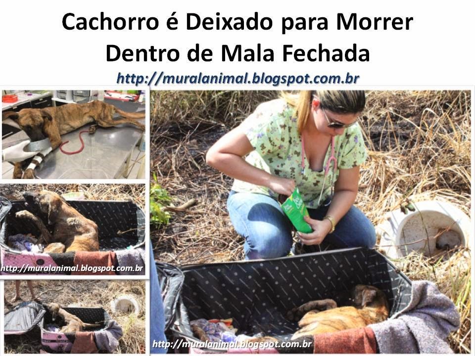 [Slide2%255B3%255D.jpg]