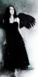 Dark Winged Evil Girl