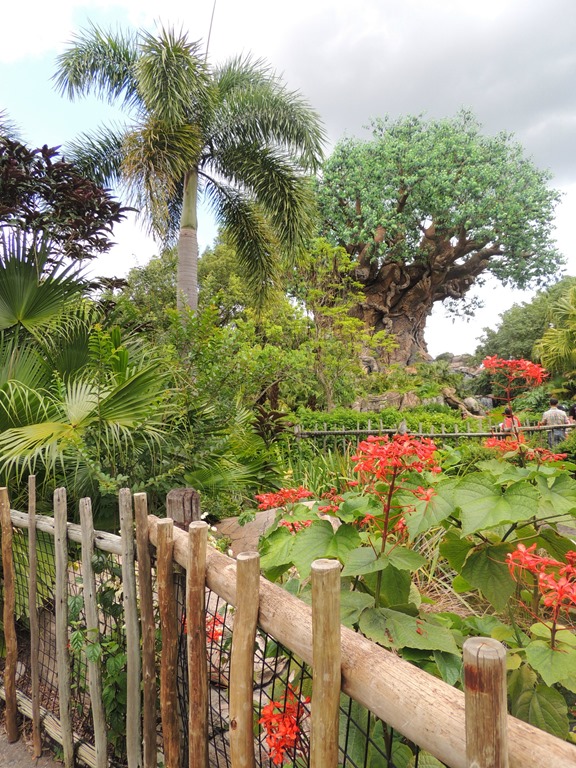 [DSCN4338%255B3%255D.jpg]