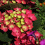SH_Expo_0058.JPG