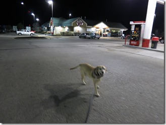 IMG_3930 IMG_3930