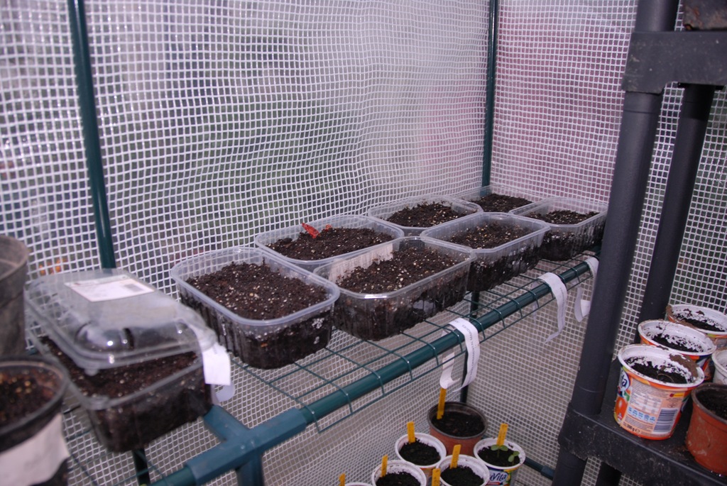 [DSC_0034%255B4%255D.jpg]