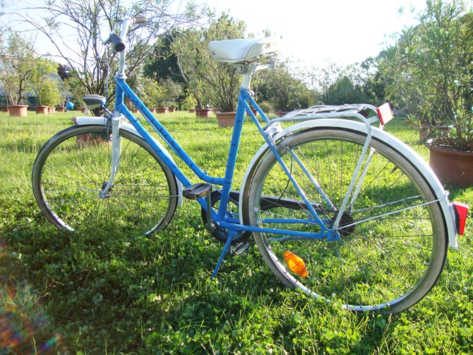 blue white bike