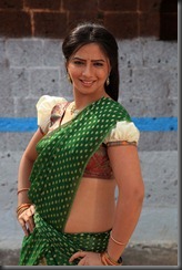 Actress-Nisha-shah-hot