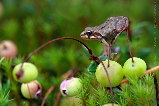 [clip_image015%255B5%255D.jpg]