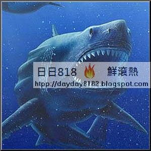 巨牙鯊（巨齒鯊 Carcharodon megalodon）史上最大鯊魚 體長為大白鯊兩倍