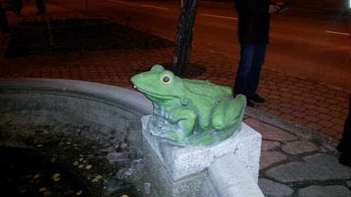 Nibiru's Frog